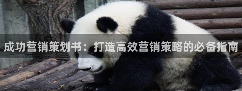 必赢网站是哪一个平台