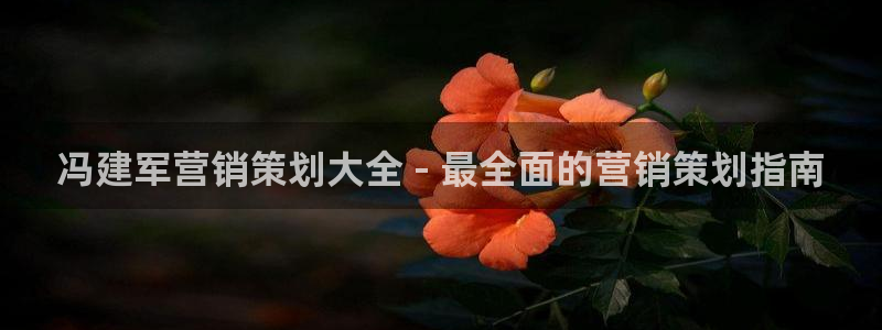 必赢72882网址