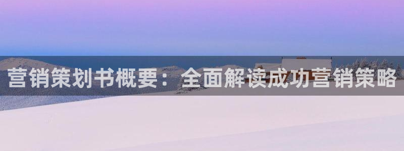 必赢网站是多少啊