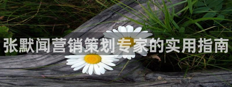 必赢图片