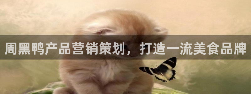 必赢官网网站入口