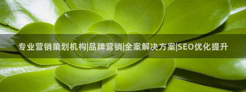 必赢72886是黑网站么