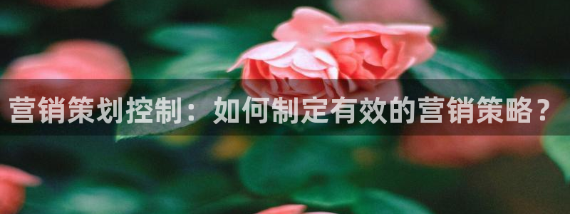 73882必赢app下载