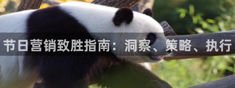 必赢手机版app下载官网