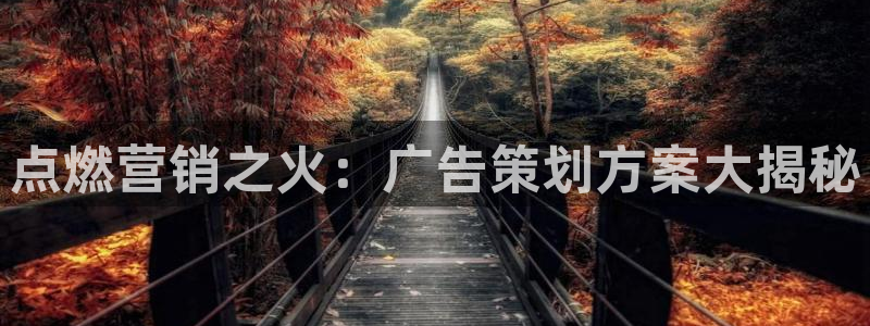 95必赢网址多少