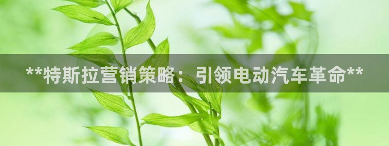 必赢手机app下载 最新版本