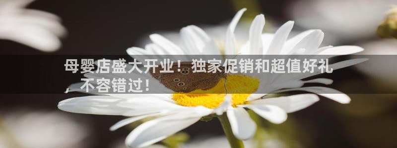 必赢网址