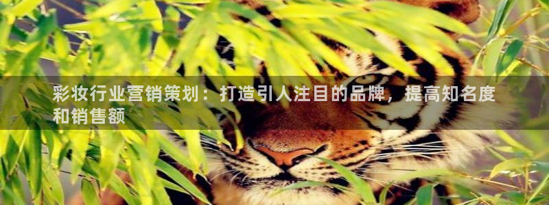 必赢官网下载安装