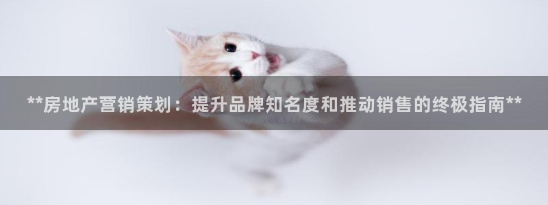 必赢集团