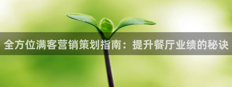 必赢平台网