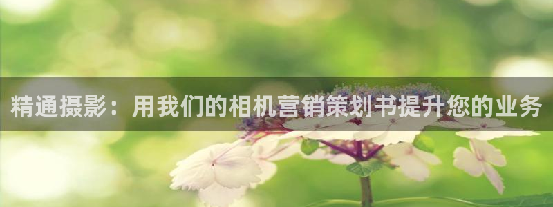 必赢网站是哪一个
