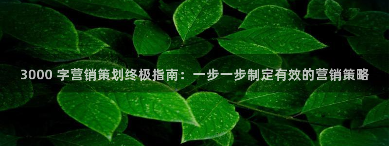 必赢565net官网网站