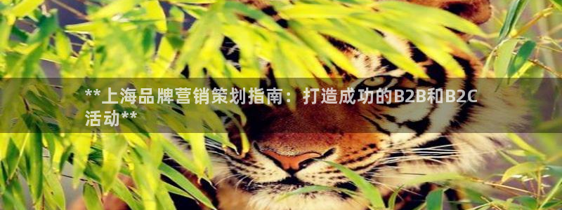 必赢官网app下载安装手机版苹果