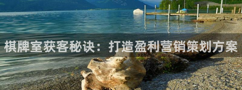 必赢网站是哪一个