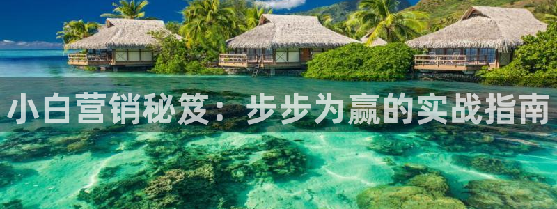 必赢最新消息
