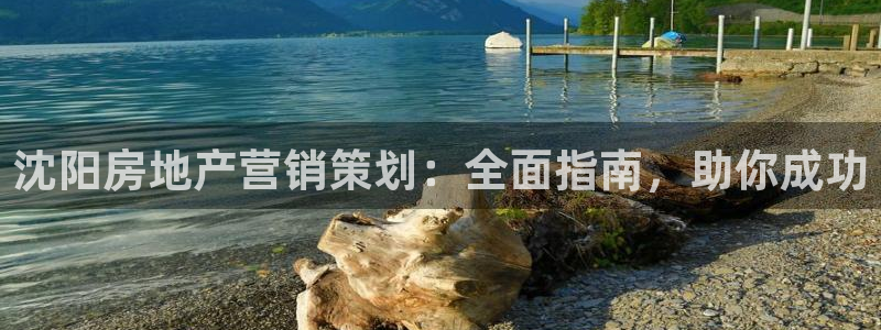 必赢官网下载app
