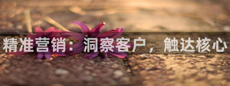 必赢科技北京有限公司