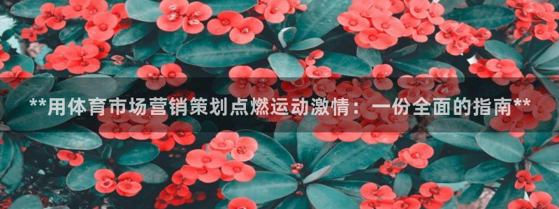 必赢网址手机主页怎么设置