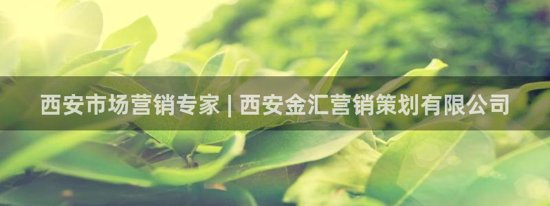 必赢这个软件怎么样知乎