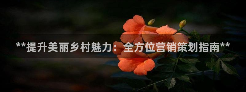 必赢平台电子