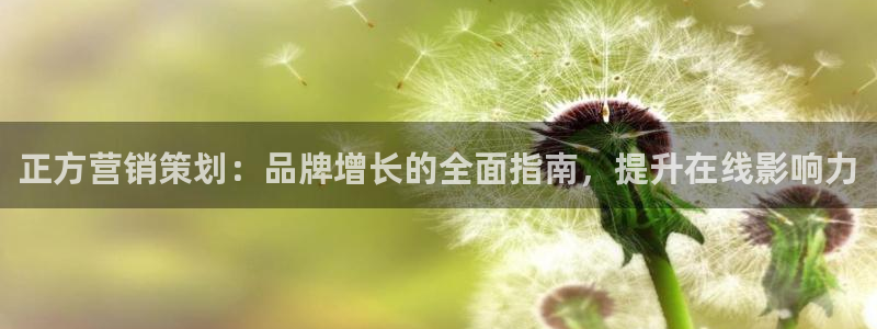 必赢网络游戏平台