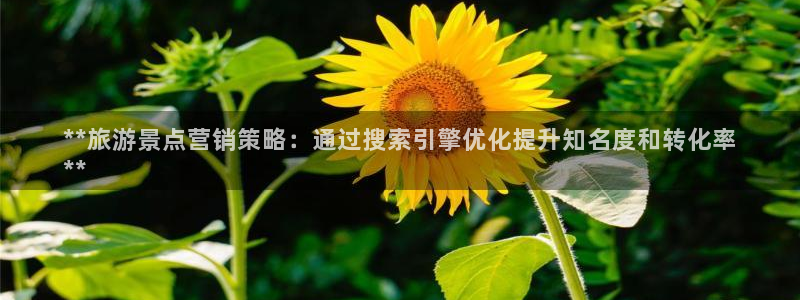 必赢手机app下载安装