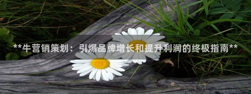 必赢亚赢网站官网下载