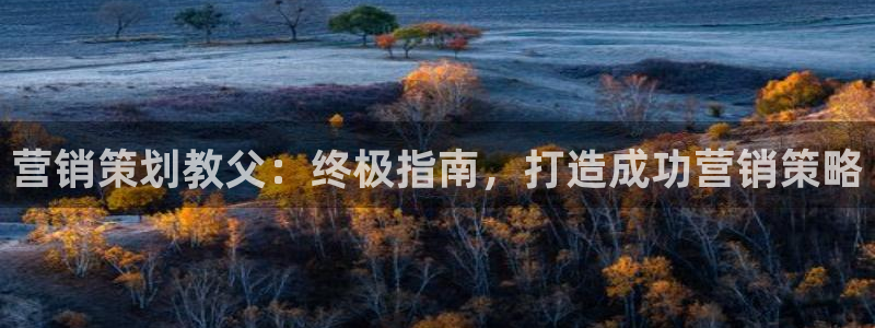 必赢线上网址是多少