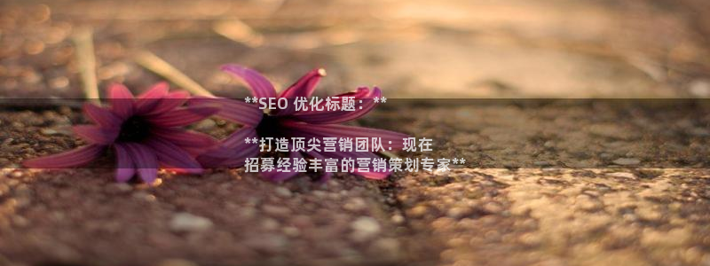 9965必赢游戏版本