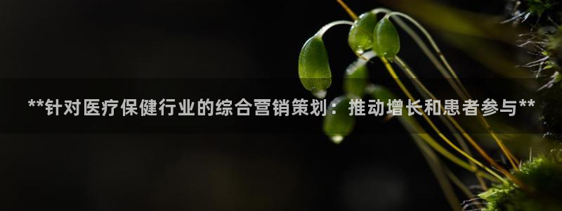 必赢网站是多少啊
