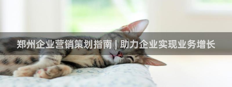 必赢网址手机主页打不开