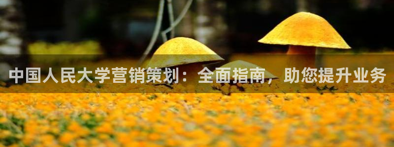 必赢3003+会员账号