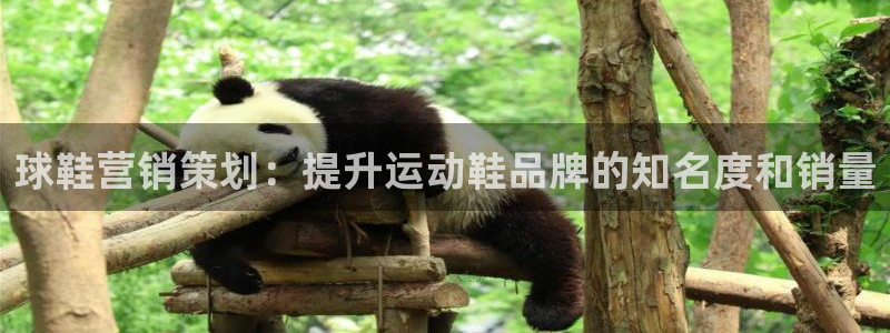必赢下载软件