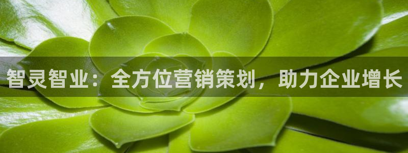 必赢官网下载