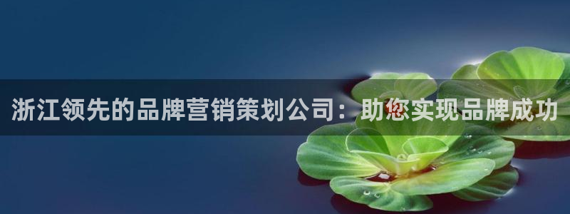 必赢516net怎么进