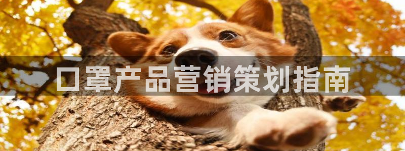 必赢平台网站多少