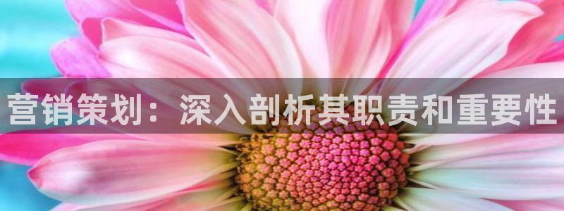 必赢棋盘app下载