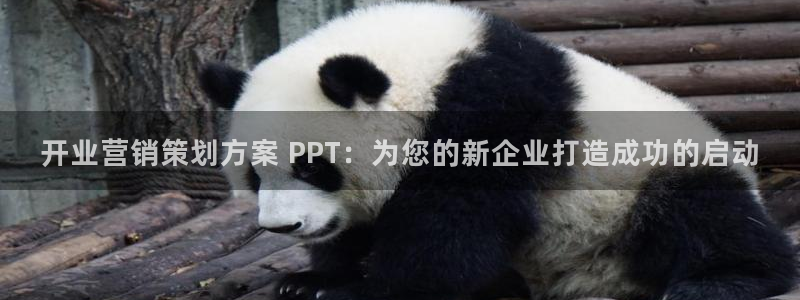 必赢官网网站首页入口