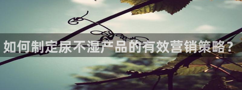 必赢官网app下载安装苹果手机