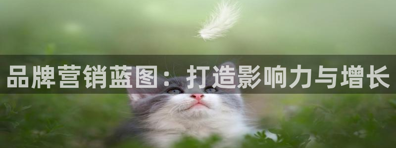 必赢手机app下载安装官网