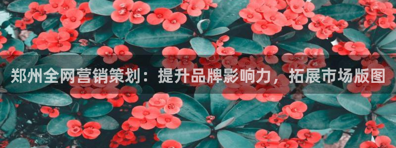 必赢集团网站