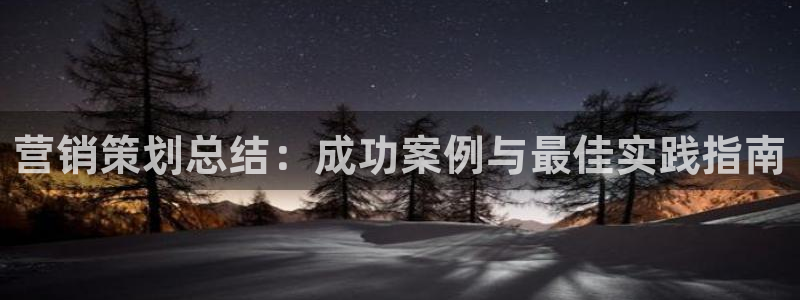 必赢手机app下载安装