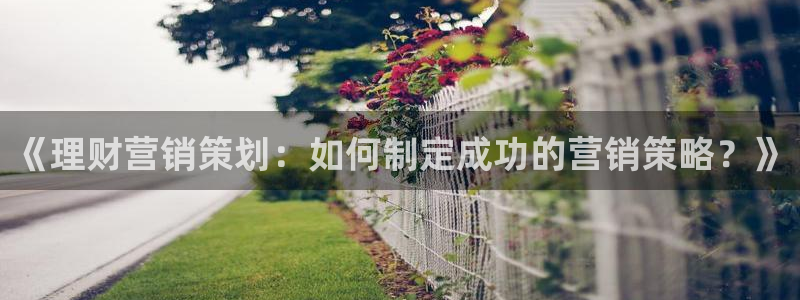 必赢88