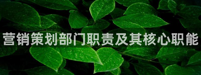 必赢旧网站