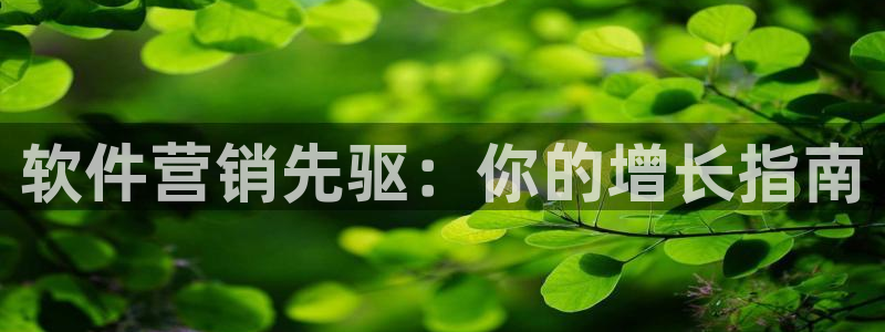 9965必赢游戏版本