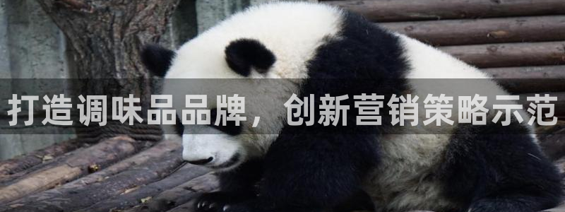 必赢app安卓版下载