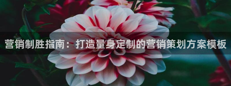 必赢资讯下载