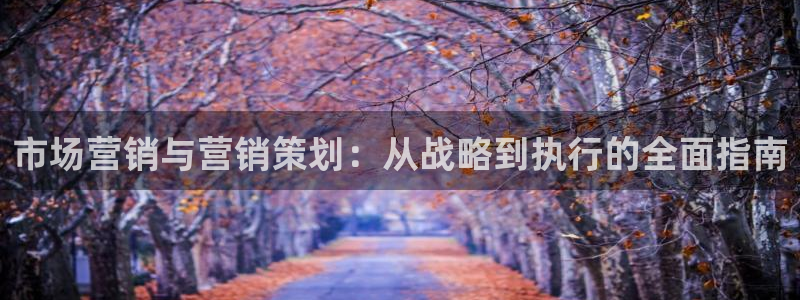 必赢网址
