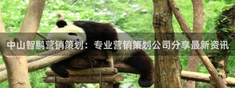 必赢网站是哪一个