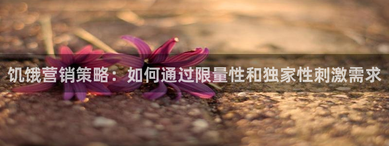 必赢国际的网站多少
